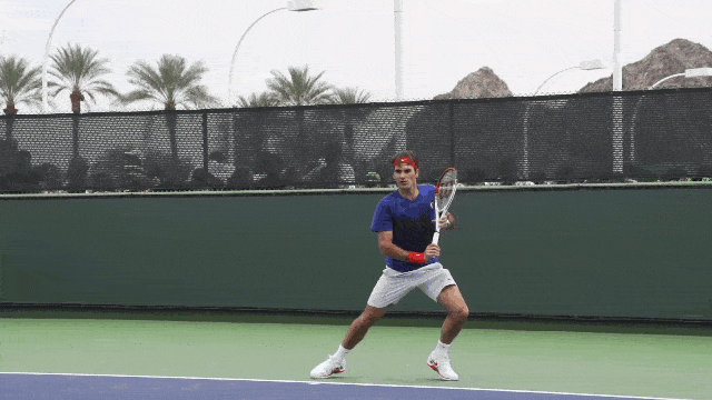 Reves cortado Roger Fereder