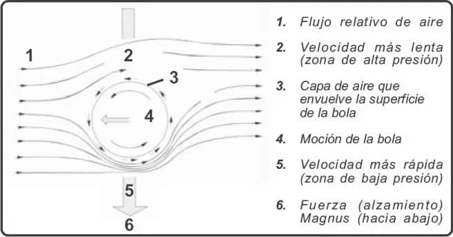 Grafico de guia sobre como posicionar la mano en la raqueta para el revers