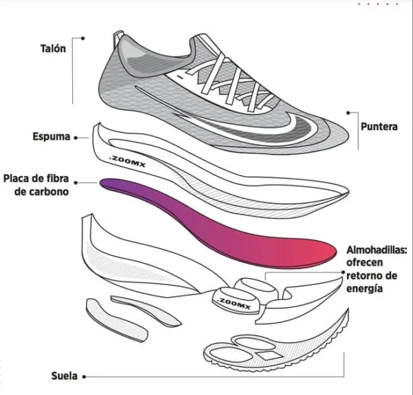 Estructura de las Zapatillas de tennis